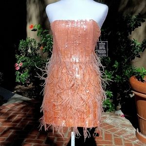 Retrofete Anastasia sequin feather mini dress